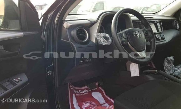 Buy Import Toyota RAV4 Black Car in Import - Dubai in Bumthang Buy Import Toyota RAV4 Black Car in Import - Dubai in Bumthang
