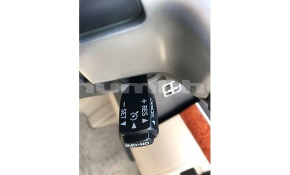 Buy Import Toyota Land Cruiser Black Car in Import - Dubai in Bumthang Buy Import Toyota Land Cruiser Black Car in Import - Dubai in Bumthang