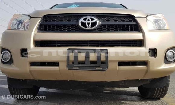 Buy Import Toyota RAV4 Other Car in Import - Dubai in Bumthang Buy Import Toyota RAV4 Other Car in Import - Dubai in Bumthang