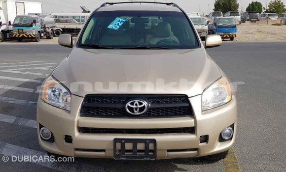 Buy Import Toyota RAV4 Other Car in Import - Dubai in Bumthang Buy Import Toyota RAV4 Other Car in Import - Dubai in Bumthang