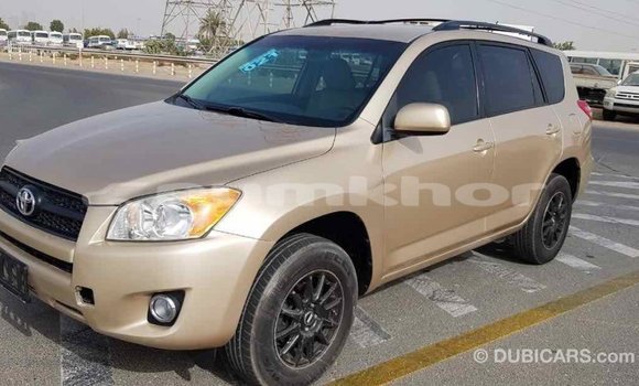 Buy Import Toyota RAV4 Other Car in Import - Dubai in Bumthang Buy Import Toyota RAV4 Other Car in Import - Dubai in Bumthang