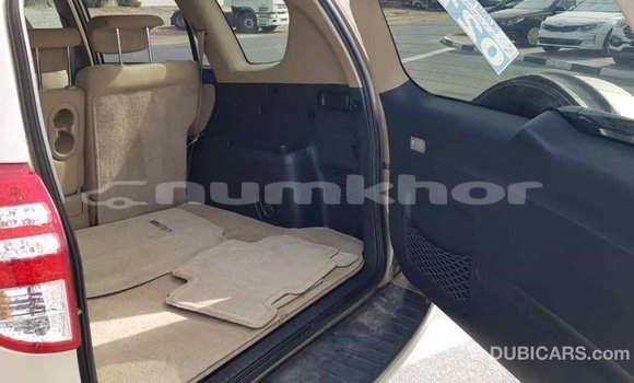 Buy Import Toyota RAV4 Other Car in Import - Dubai in Bumthang Buy Import Toyota RAV4 Other Car in Import - Dubai in Bumthang