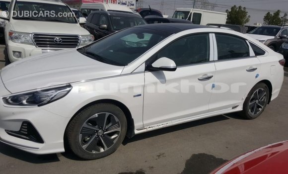 Buy Import Hyundai Sonata White Car in Import - Dubai in Bumthang Buy Import Hyundai Sonata White Car in Import - Dubai in Bumthang