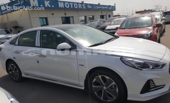 Buy Import Hyundai Sonata White Car in Import - Dubai in Bumthang Buy Import Hyundai Sonata White Car in Import - Dubai in Bumthang