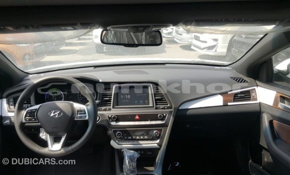 Buy Import Hyundai Sonata White Car in Import - Dubai in Bumthang Buy Import Hyundai Sonata White Car in Import - Dubai in Bumthang