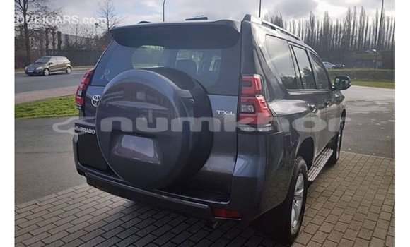 Buy Import Toyota Prado Black Car in Import - Dubai in Bumthang Buy Import Toyota Prado Black Car in Import - Dubai in Bumthang