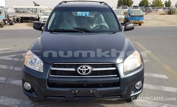 Buy Import Toyota RAV4 Green Car in Import - Dubai in Bumthang Buy Import Toyota RAV4 Green Car in Import - Dubai in Bumthang