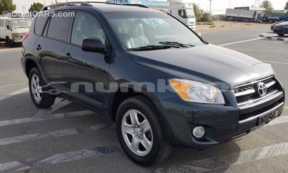 Buy Import Toyota RAV4 Green Car in Import - Dubai in Bumthang Buy Import Toyota RAV4 Green Car in Import - Dubai in Bumthang