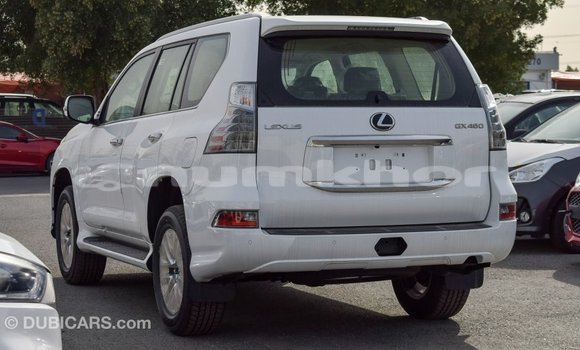 Buy Import Lexus GX White Car in Import - Dubai in Bumthang Buy Import Lexus GX White Car in Import - Dubai in Bumthang