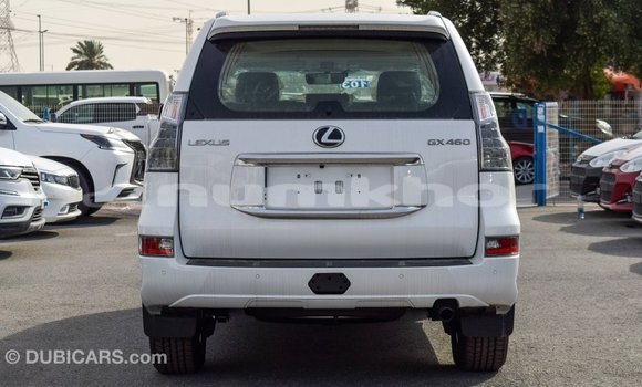 Buy Import Lexus GX White Car in Import - Dubai in Bumthang Buy Import Lexus GX White Car in Import - Dubai in Bumthang