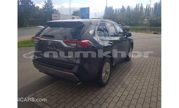 Buy Import Toyota RAV4 Other Car in Import - Dubai in Bumthang Buy Import Toyota RAV4 Other Car in Import - Dubai in Bumthang