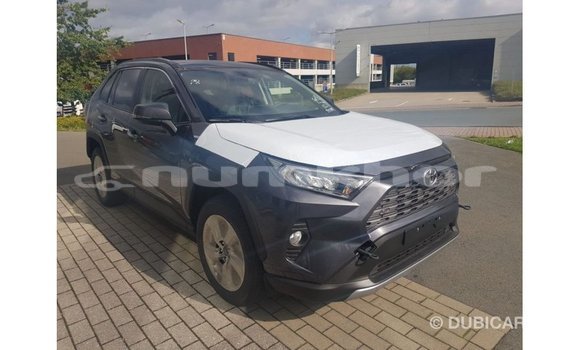 Buy Import Toyota RAV4 Other Car in Import - Dubai in Bumthang Buy Import Toyota RAV4 Other Car in Import - Dubai in Bumthang