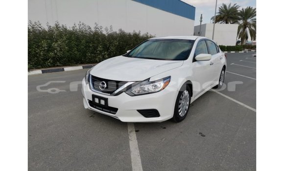 Buy Import Nissan Altima White Car in Import - Dubai in Bumthang Buy Import Nissan Altima White Car in Import - Dubai in Bumthang