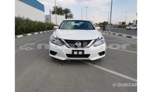 Buy Import Nissan Altima White Car in Import - Dubai in Bumthang Buy Import Nissan Altima White Car in Import - Dubai in Bumthang