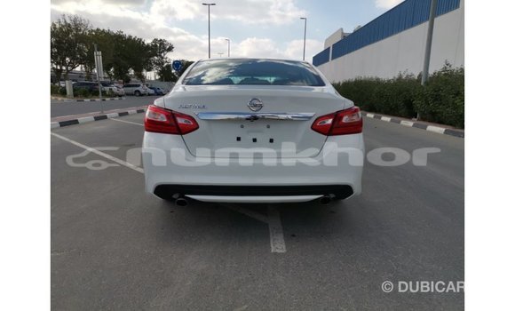 Buy Import Nissan Altima White Car in Import - Dubai in Bumthang Buy Import Nissan Altima White Car in Import - Dubai in Bumthang