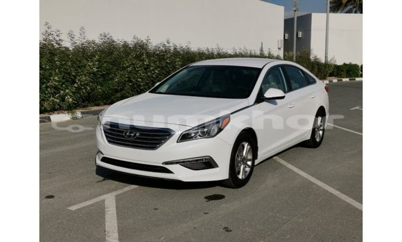 Buy Import Hyundai Sonata White Car in Import - Dubai in Bumthang Buy Import Hyundai Sonata White Car in Import - Dubai in Bumthang