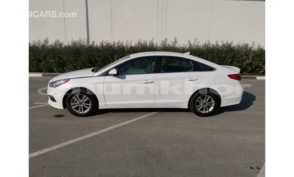 Buy Import Hyundai Sonata White Car in Import - Dubai in Bumthang Buy Import Hyundai Sonata White Car in Import - Dubai in Bumthang