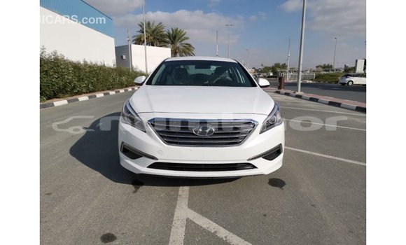 Buy Import Hyundai Sonata White Car in Import - Dubai in Bumthang Buy Import Hyundai Sonata White Car in Import - Dubai in Bumthang