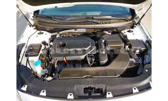 Buy Import Hyundai Sonata White Car in Import - Dubai in Bumthang Buy Import Hyundai Sonata White Car in Import - Dubai in Bumthang