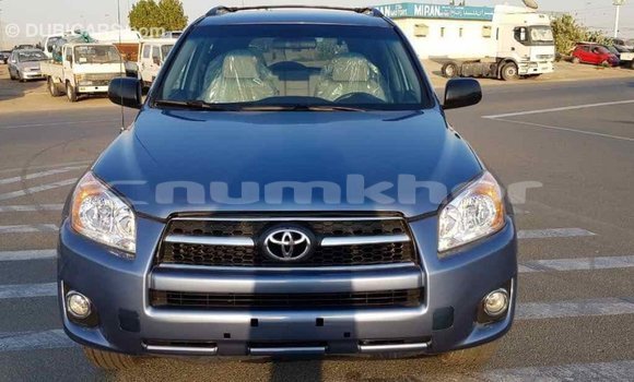 Buy Import Toyota RAV4 Blue Car in Import - Dubai in Bumthang Buy Import Toyota RAV4 Blue Car in Import - Dubai in Bumthang