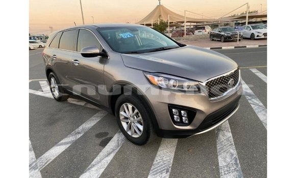 Buy Import Kia Sorento Other Car in Import - Dubai in Bumthang Buy Import Kia Sorento Other Car in Import - Dubai in Bumthang