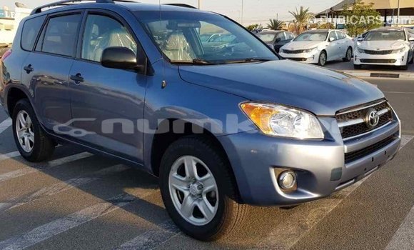 Buy Import Toyota RAV4 Blue Car in Import - Dubai in Bumthang Buy Import Toyota RAV4 Blue Car in Import - Dubai in Bumthang