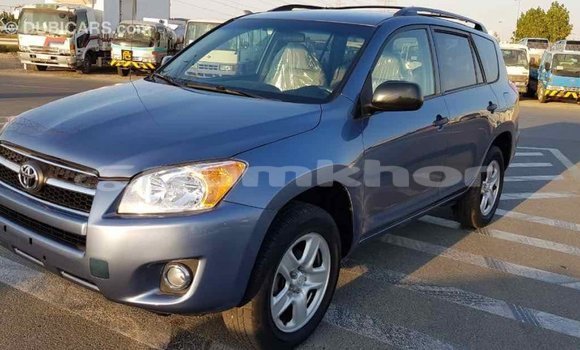 Buy Import Toyota RAV4 Blue Car in Import - Dubai in Bumthang Buy Import Toyota RAV4 Blue Car in Import - Dubai in Bumthang