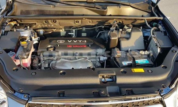 Buy Import Toyota RAV4 Blue Car in Import - Dubai in Bumthang Buy Import Toyota RAV4 Blue Car in Import - Dubai in Bumthang