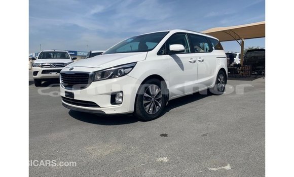 Buy Import Kia Carnival White Car in Import - Dubai in Bumthang Buy Import Kia Carnival White Car in Import - Dubai in Bumthang