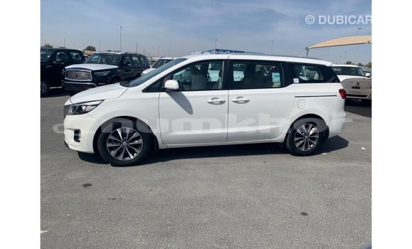 Buy Import Kia Carnival White Car in Import - Dubai in Bumthang Buy Import Kia Carnival White Car in Import - Dubai in Bumthang