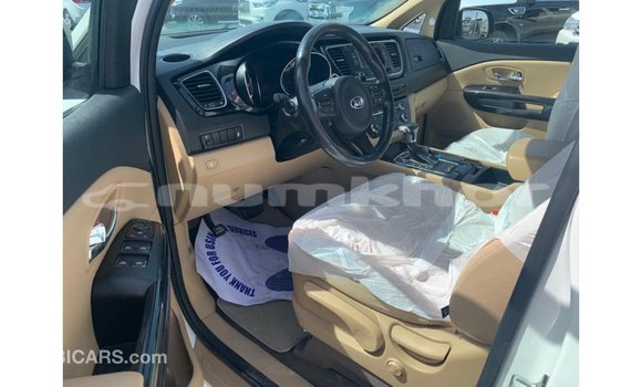 Buy Import Kia Carnival White Car in Import - Dubai in Bumthang Buy Import Kia Carnival White Car in Import - Dubai in Bumthang