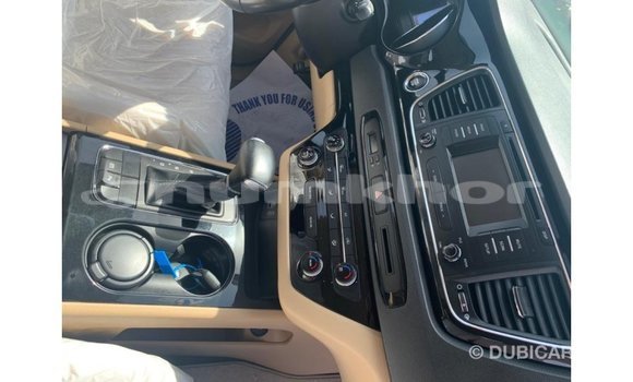 Buy Import Kia Carnival White Car in Import - Dubai in Bumthang Buy Import Kia Carnival White Car in Import - Dubai in Bumthang