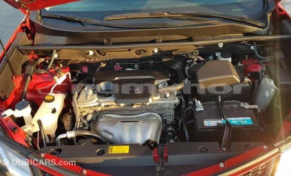 Buy Import Toyota RAV4 Red Car in Import - Dubai in Bumthang Buy Import Toyota RAV4 Red Car in Import - Dubai in Bumthang