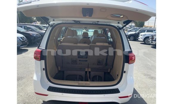 Buy Import Kia Carnival White Car in Import - Dubai in Bumthang Buy Import Kia Carnival White Car in Import - Dubai in Bumthang