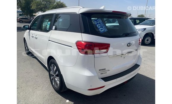Buy Import Kia Carnival White Car in Import - Dubai in Bumthang Buy Import Kia Carnival White Car in Import - Dubai in Bumthang