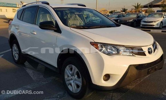 Buy Import Toyota RAV4 White Car in Import - Dubai in Bumthang Buy Import Toyota RAV4 White Car in Import - Dubai in Bumthang