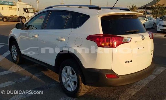 Buy Import Toyota RAV4 White Car in Import - Dubai in Bumthang Buy Import Toyota RAV4 White Car in Import - Dubai in Bumthang