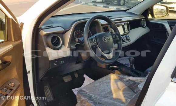 Buy Import Toyota RAV4 White Car in Import - Dubai in Bumthang Buy Import Toyota RAV4 White Car in Import - Dubai in Bumthang