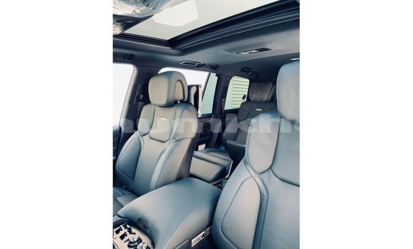 Buy Import Lexus LX Black Car in Import - Dubai in Bumthang Buy Import Lexus LX Black Car in Import - Dubai in Bumthang