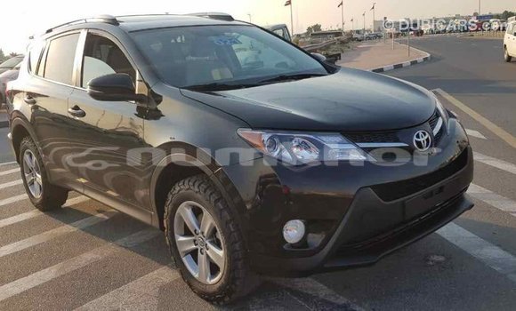 Buy Import Toyota RAV4 Black Car in Import - Dubai in Bumthang Buy Import Toyota RAV4 Black Car in Import - Dubai in Bumthang