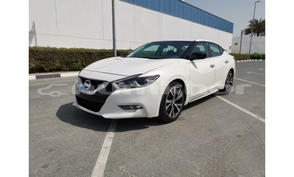Buy Import Nissan Maxima White Car in Import - Dubai in Bumthang Buy Import Nissan Maxima White Car in Import - Dubai in Bumthang