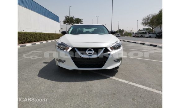 Buy Import Nissan Maxima White Car in Import - Dubai in Bumthang Buy Import Nissan Maxima White Car in Import - Dubai in Bumthang