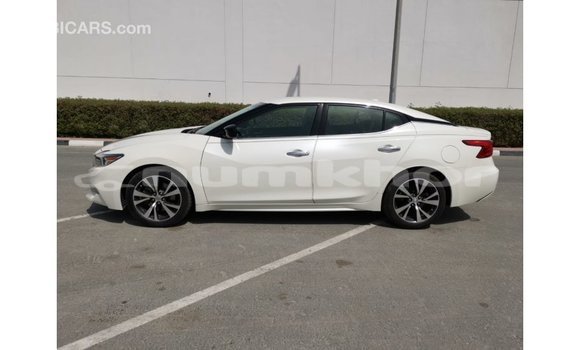 Buy Import Nissan Maxima White Car in Import - Dubai in Bumthang Buy Import Nissan Maxima White Car in Import - Dubai in Bumthang