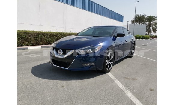 Buy Import Nissan Maxima Blue Car in Import - Dubai in Bumthang Buy Import Nissan Maxima Blue Car in Import - Dubai in Bumthang