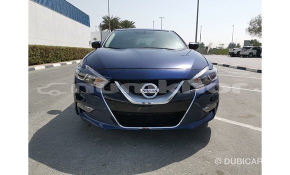 Buy Import Nissan Maxima Blue Car in Import - Dubai in Bumthang Buy Import Nissan Maxima Blue Car in Import - Dubai in Bumthang