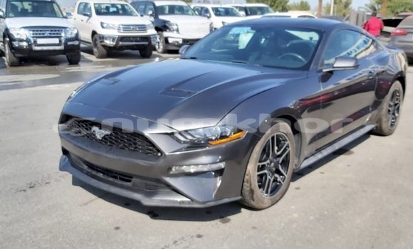 Buy Import Ford Mustang Other Car in Import - Dubai in Bumthang Buy Import Ford Mustang Other Car in Import - Dubai in Bumthang