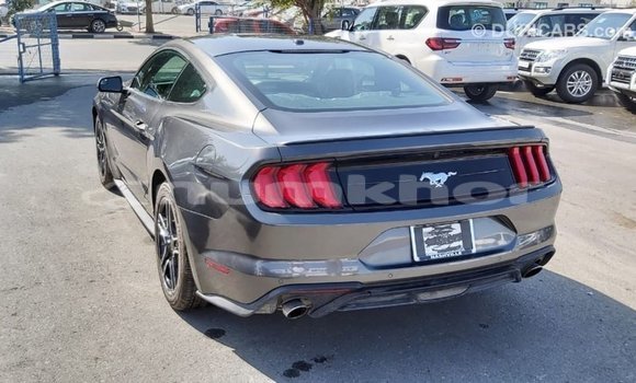 Buy Import Ford Mustang Other Car in Import - Dubai in Bumthang Buy Import Ford Mustang Other Car in Import - Dubai in Bumthang