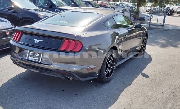 Buy Import Ford Mustang Other Car in Import - Dubai in Bumthang Buy Import Ford Mustang Other Car in Import - Dubai in Bumthang