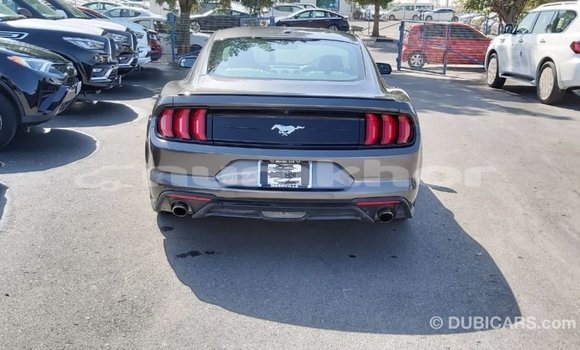Buy Import Ford Mustang Other Car in Import - Dubai in Bumthang Buy Import Ford Mustang Other Car in Import - Dubai in Bumthang