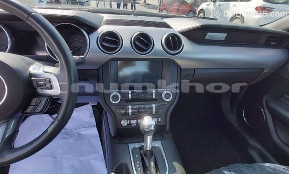 Buy Import Ford Mustang Other Car in Import - Dubai in Bumthang Buy Import Ford Mustang Other Car in Import - Dubai in Bumthang